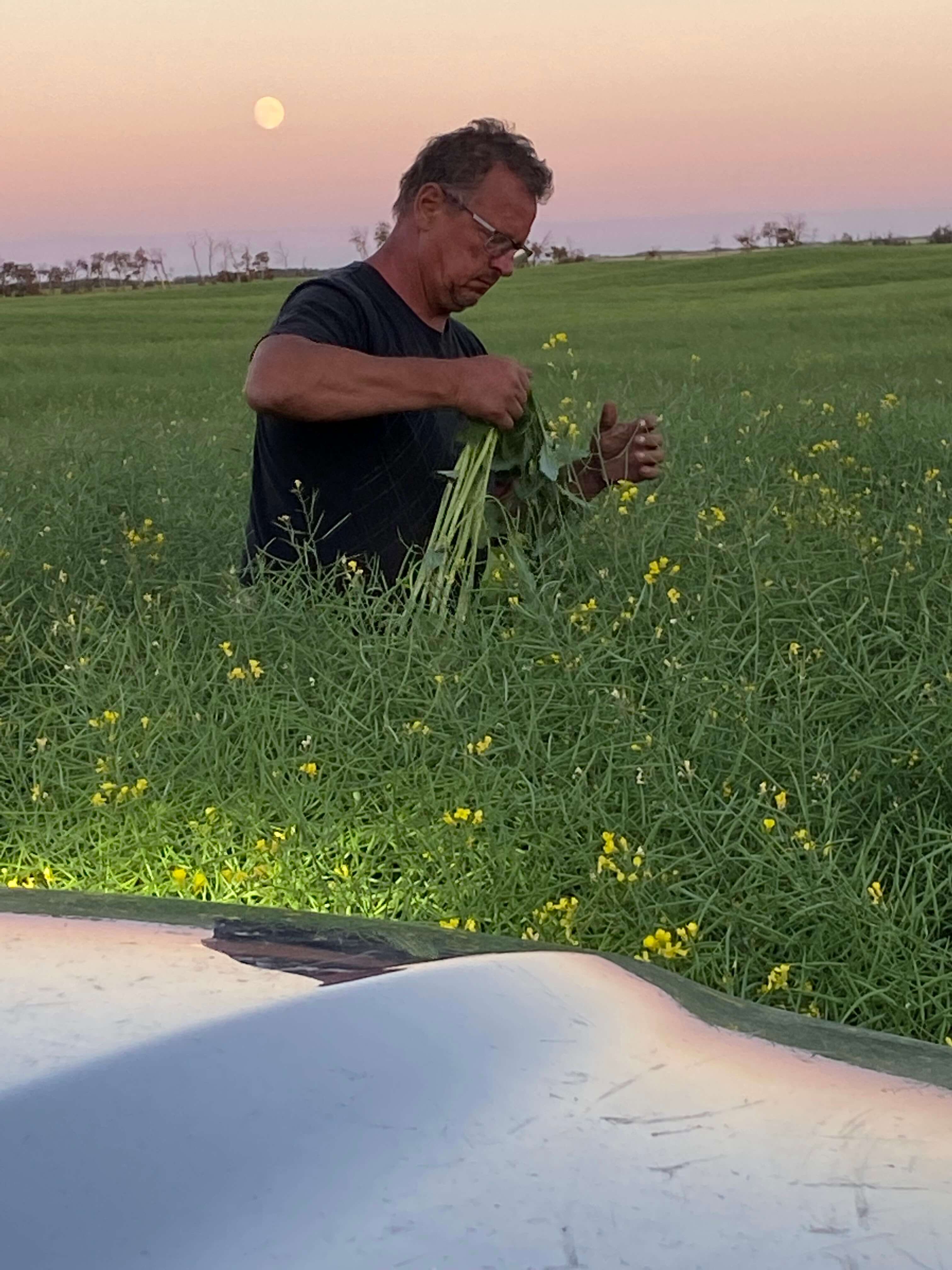 farm pics