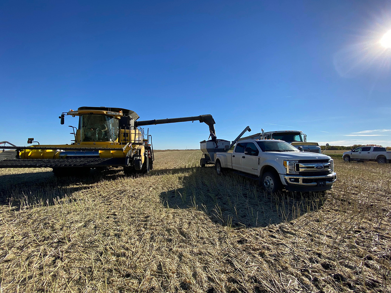 farm pics