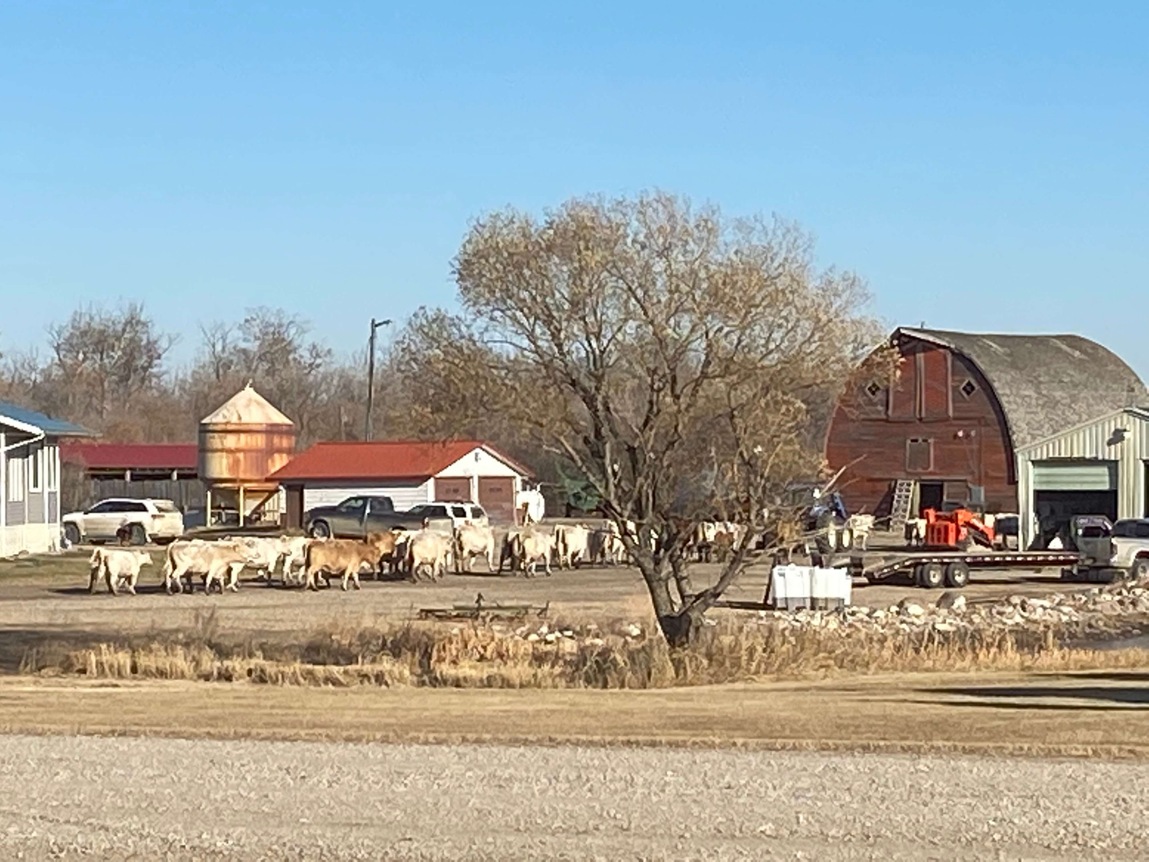 farm pics